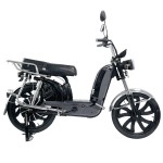 Factory 22 Inch Household Electric Bike 800W Delivery Dual Spring shock absorption Electric Motorcycle 60V Lithium Battery